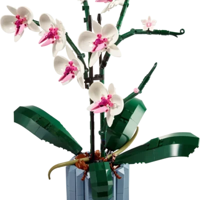 LEGO 10311 Orchidee