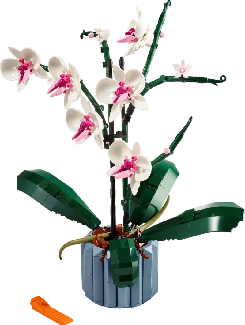 LEGO 10311 Orchidee